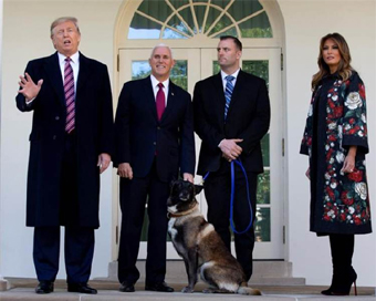 Trump decorates military dog wounded in Al-Baghdadi operation